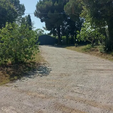Fonte Giulia